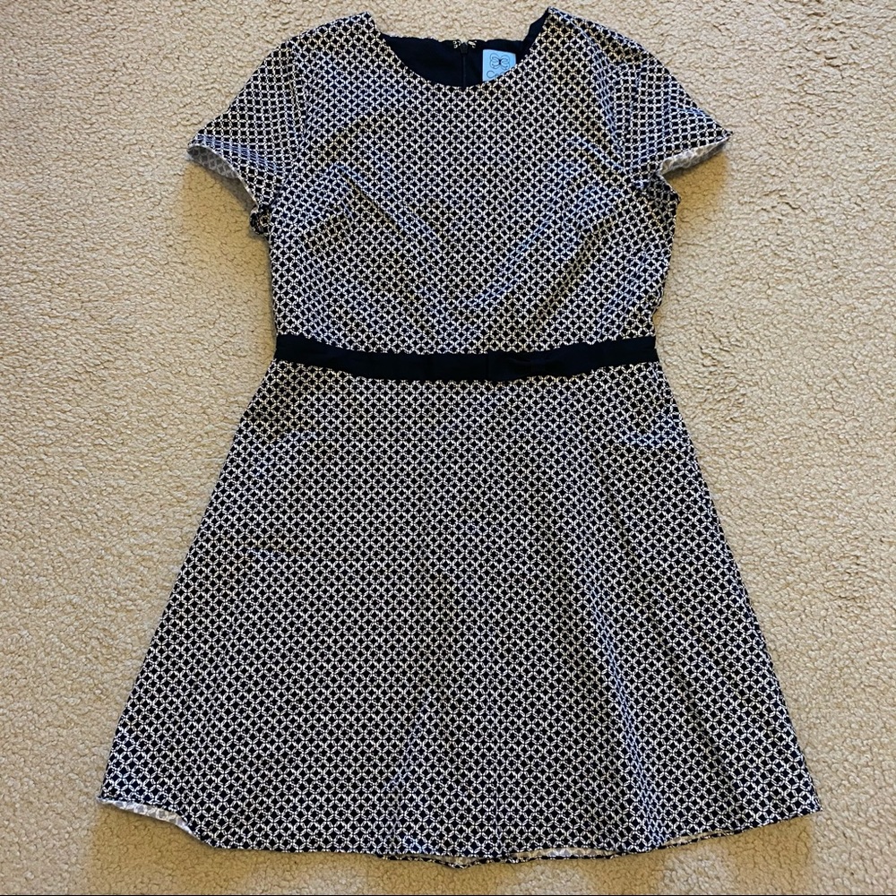 CeCe Fit and Flare Black and White A-Line Dress